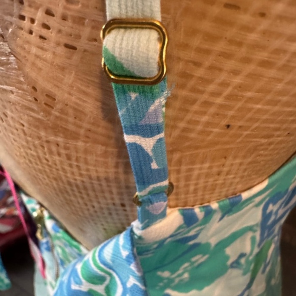 Lilly Pulitzer Blue and Green Mini Dress 2 - Picture 10 of 13